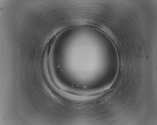 X0000067920485200604271947