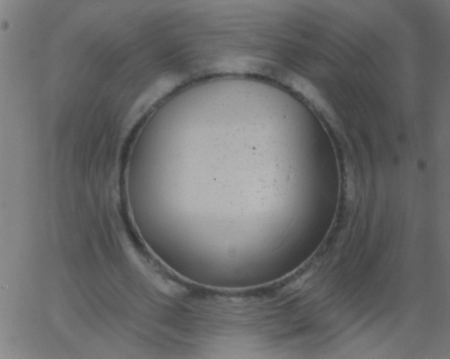 X0000067920486200604271947