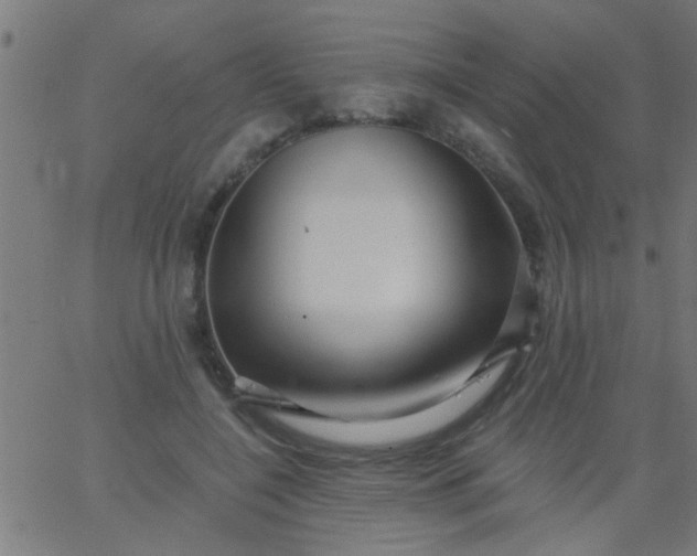 X0000067920548200604271946