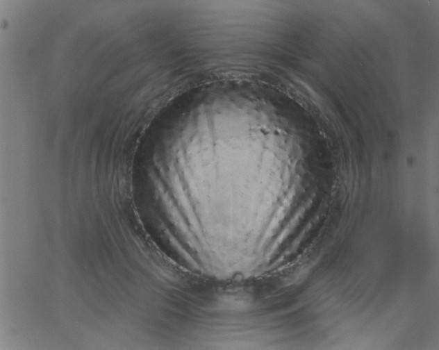 X0000067920553200604271946