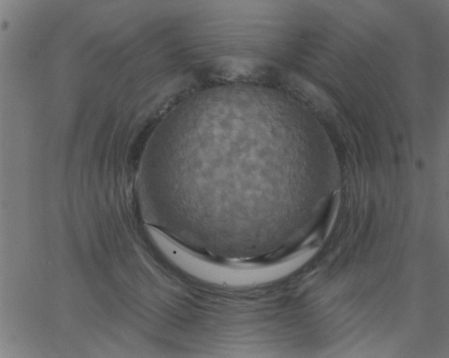 X0000067920607200604271945