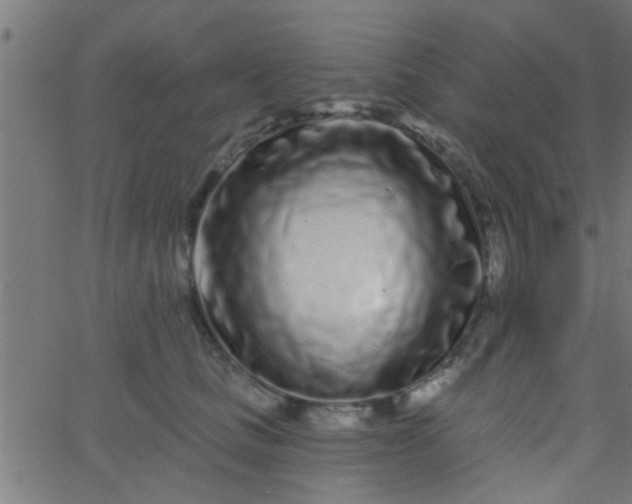 X0000067920661200604271945