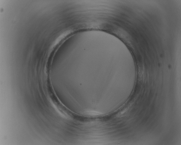 X0000067920674200604271944
