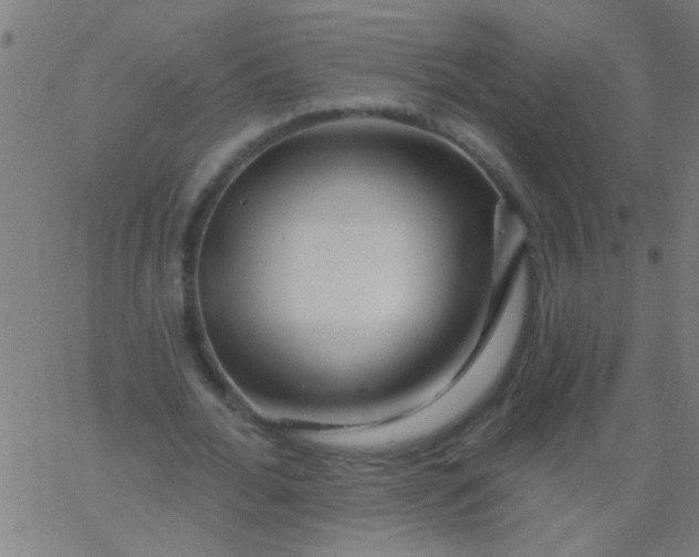 X0000067920676200604271944