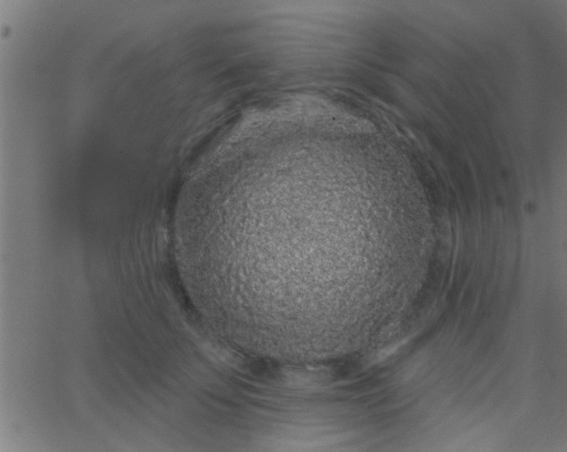 X0000067920707200604271943