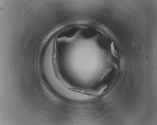 X0000067920722200604271942
