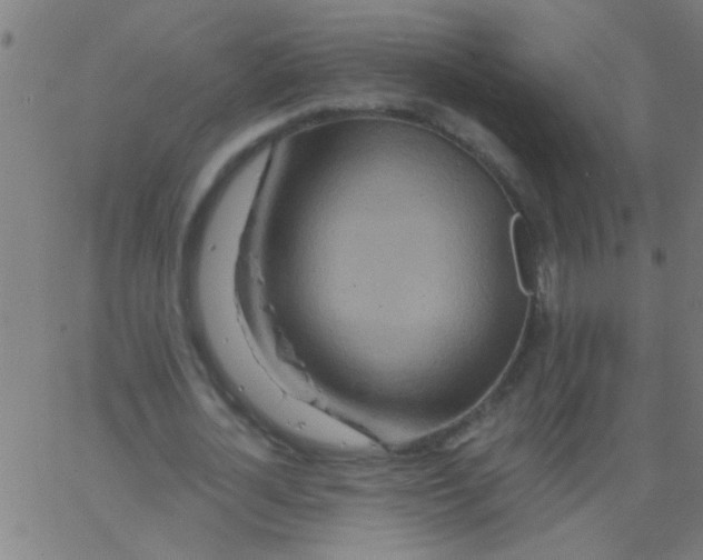 X0000067920724200604271942