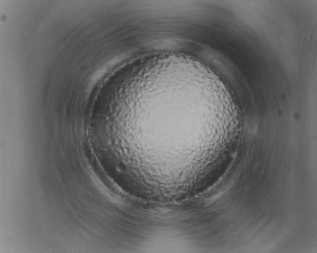 X0000067920725200604271942
