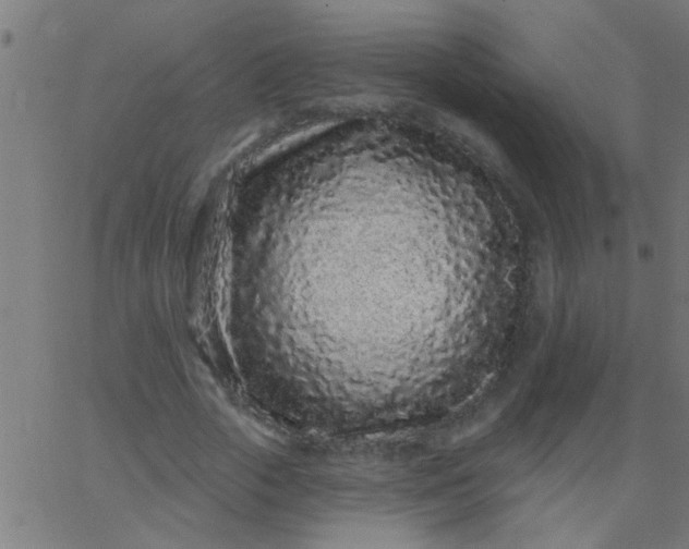 X0000067920729200604271942