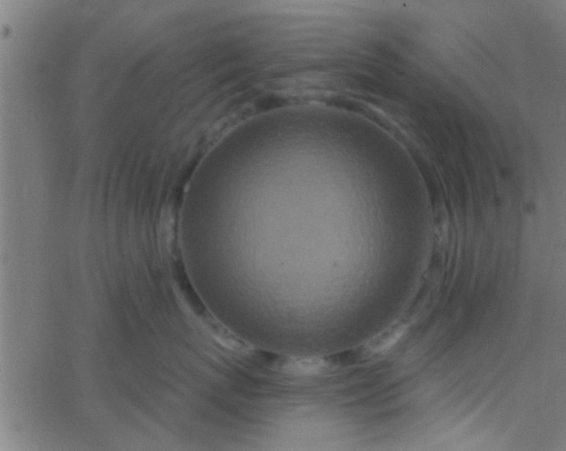 X0000067920767200604271943
