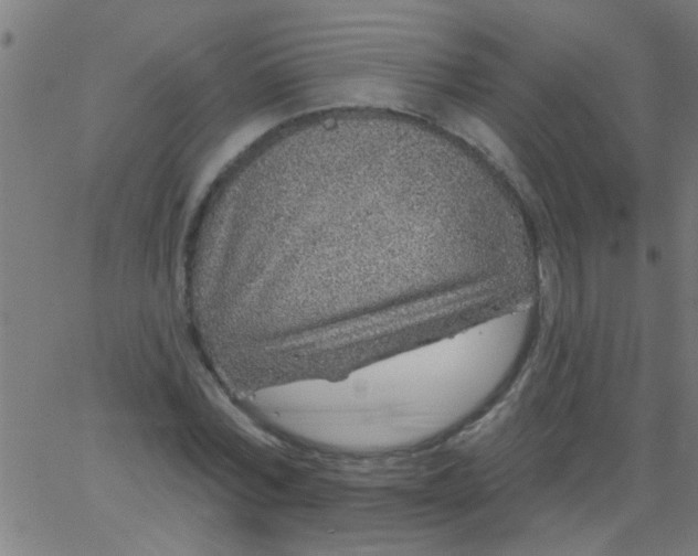 X0000067920780200604271942