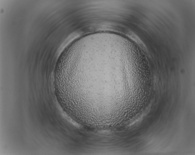 X0000067920798200604271942