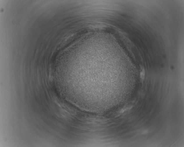X0000067920819200604271941