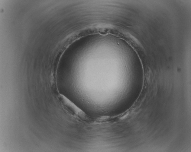 X0000067920821200604271941
