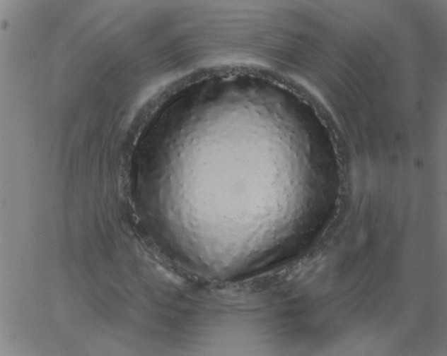X0000067920823200604271941