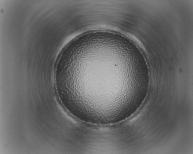 X0000067920839200604271941