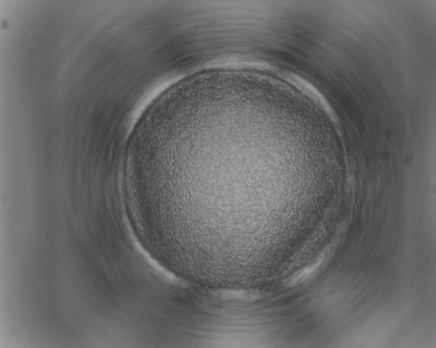 X0000067920855200604271941