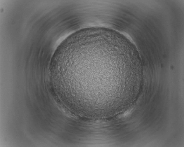 X0000067920879200604271940