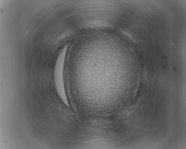 X0000067920917200604271939