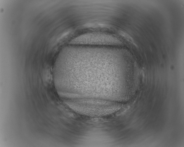 X0000067920966200604271939