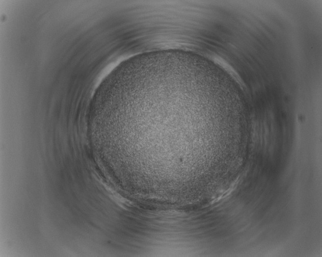 X0000067921023200604271938