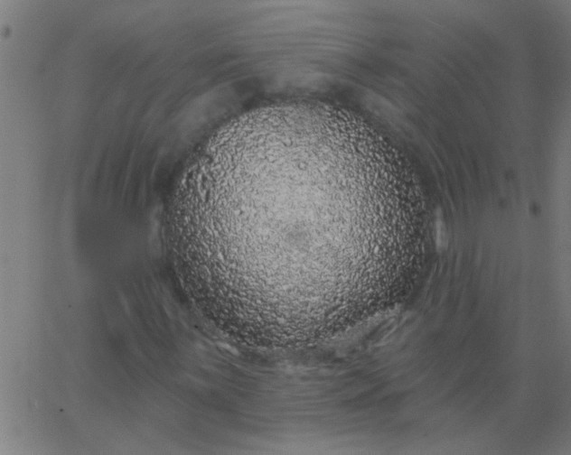 X0000067921059200604271937