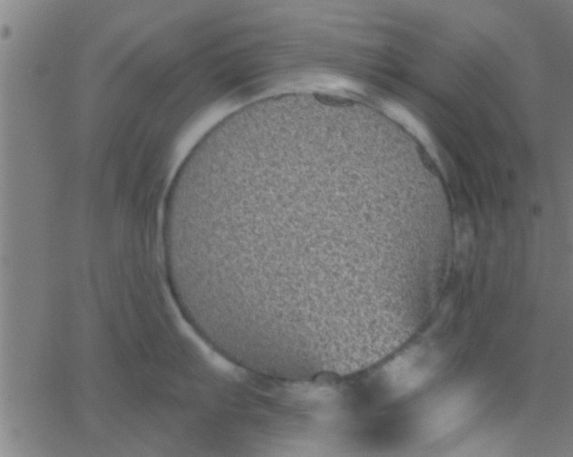 X0000067921103200604271937
