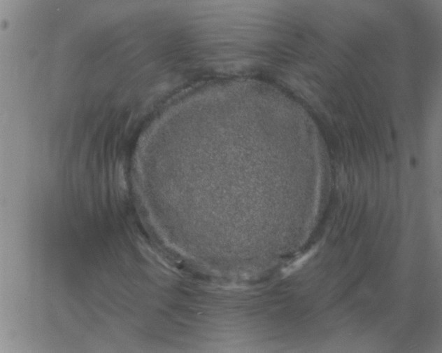 X0000067921106200604271936