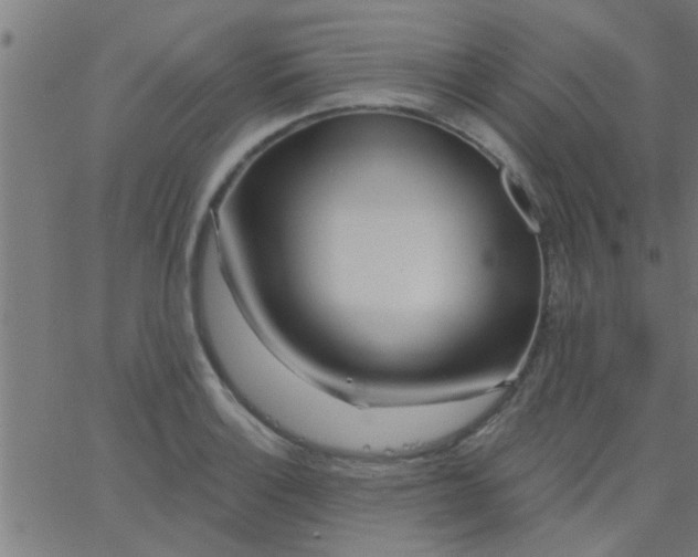 X0000067921132200604271936