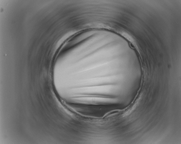 X0000067921141200604271937