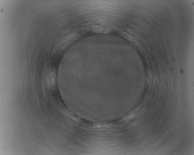 X0000067921154200604271936