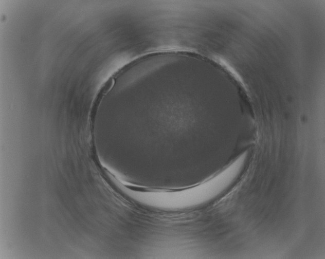 X0000067921173200604271936