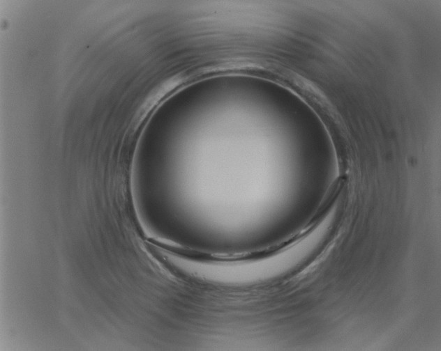 X0000067921177200604271936
