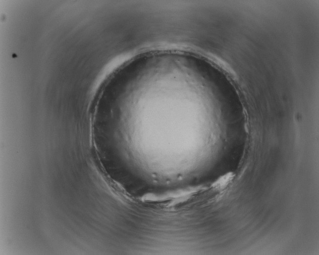 X0000067921223200604271935