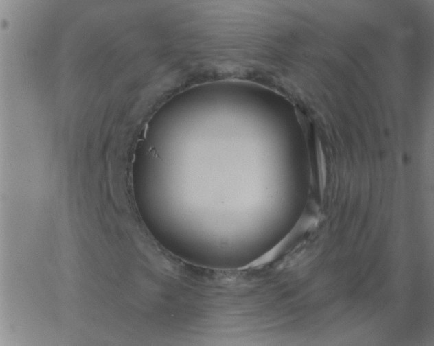 X0000067921249200604271934