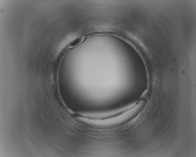 X0000067921261200604271934