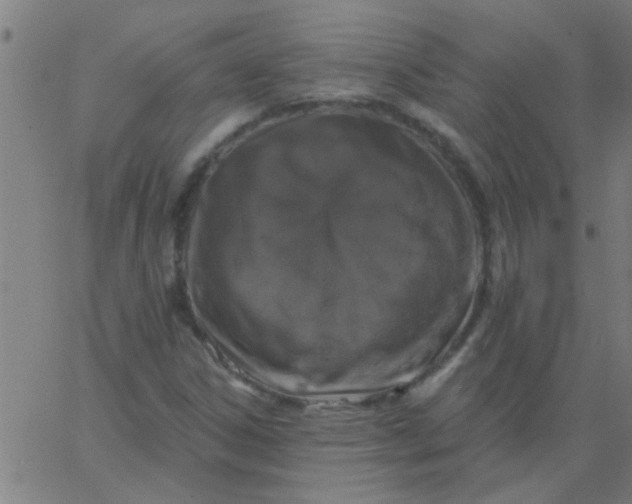 X0000067921306200604271933