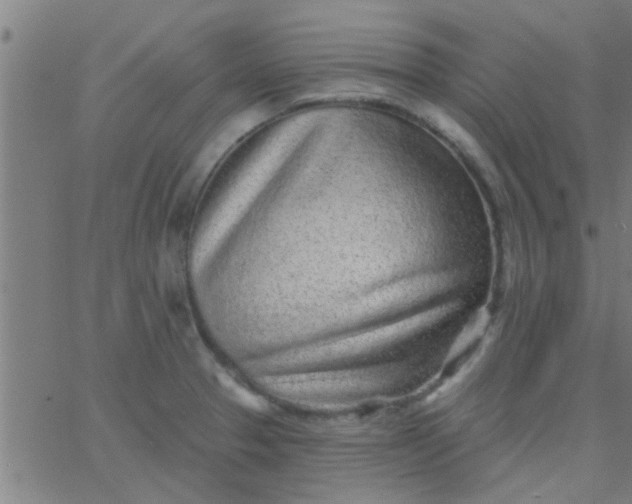 X0000067921329200604271933