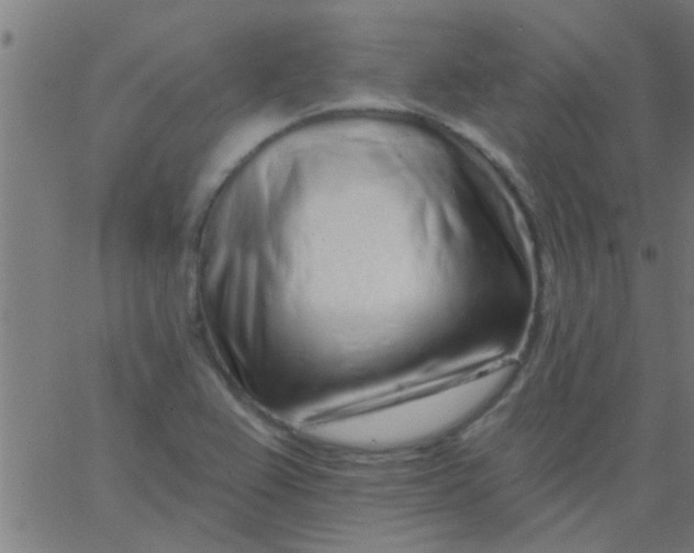 X0000067921367200604271932