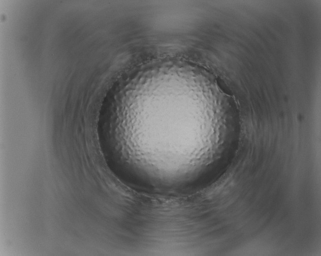 X0000067921393200604271931