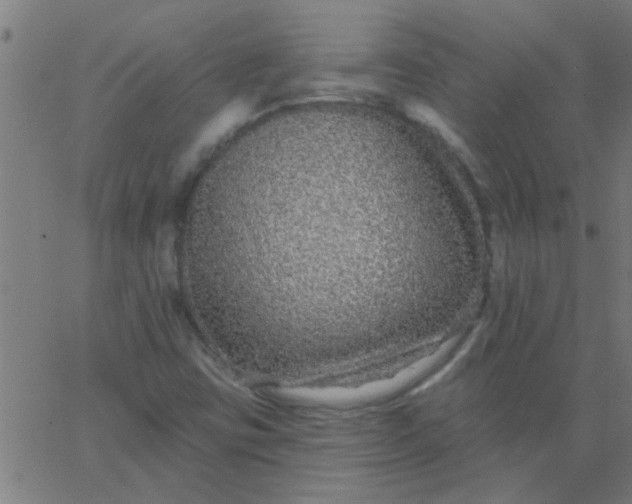 X0000067921403200604271931