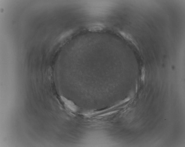 X0000067921445200604271931