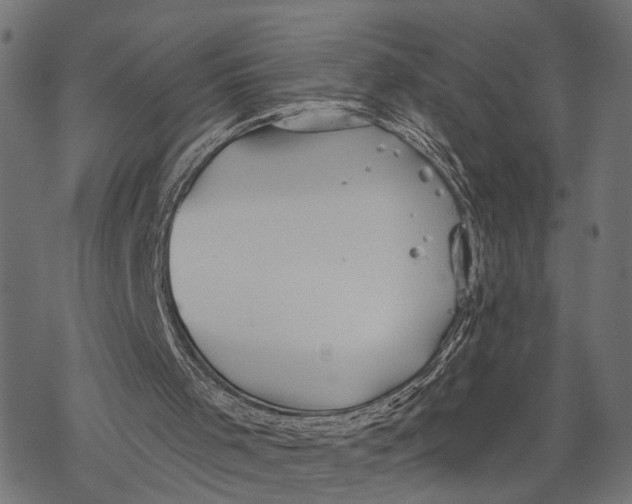 X0000067920001200605041721