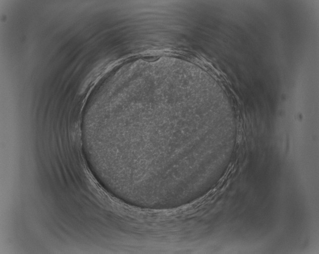 X0000067920002200605041721