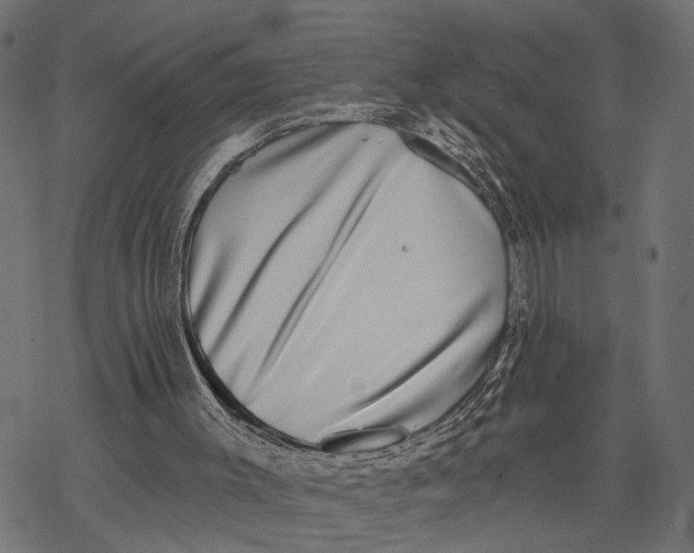 X0000067920003200605041721