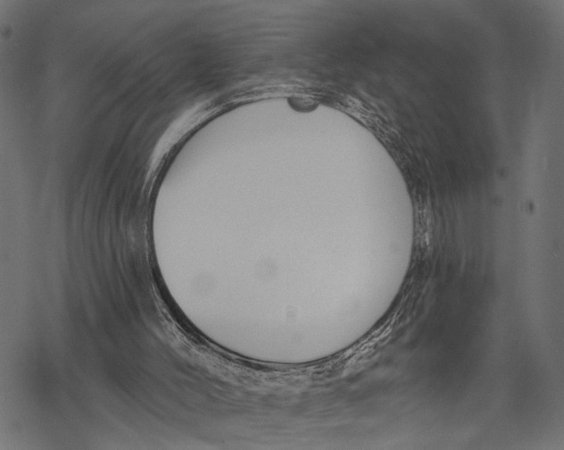 X0000067920004200605041721