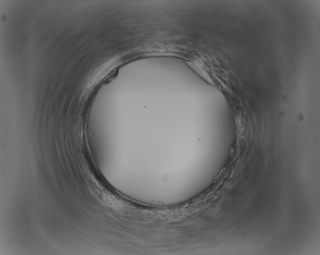 X0000067920005200605041721