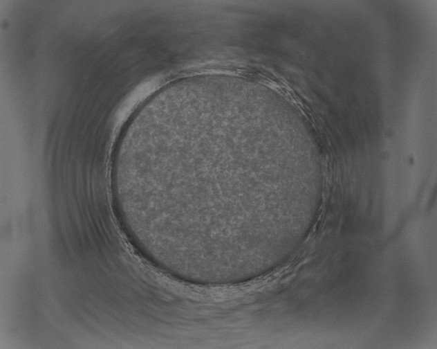 X0000067920006200605041721