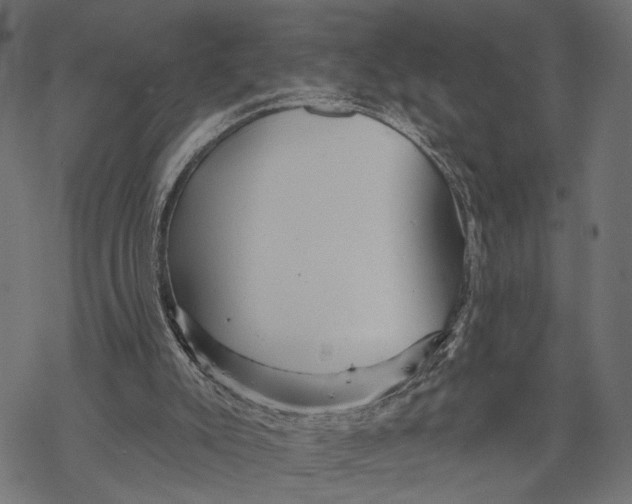 X0000067920007200605041721