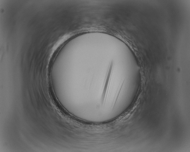 X0000067920008200605041721